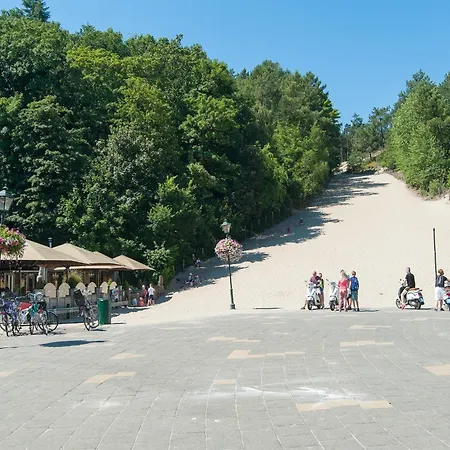 Near Schoorl Dunes Groet