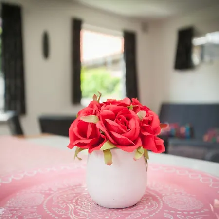 Near Schoorl Dunes Groet