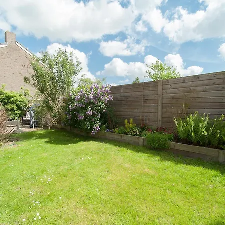 Near Schoorl Dunes *